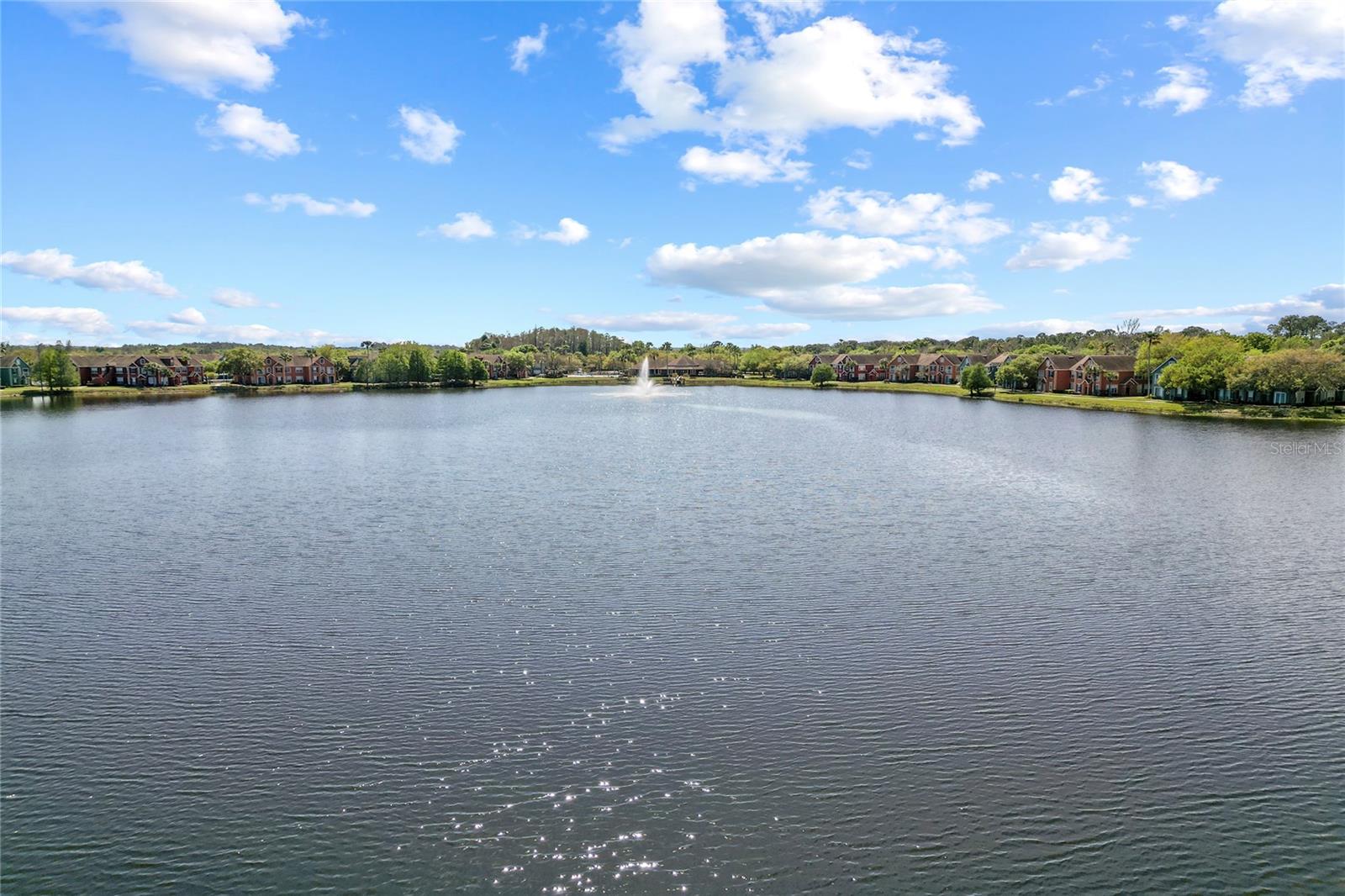 Image 41 of 55 For 9158 Lake Chase Island Way 9158