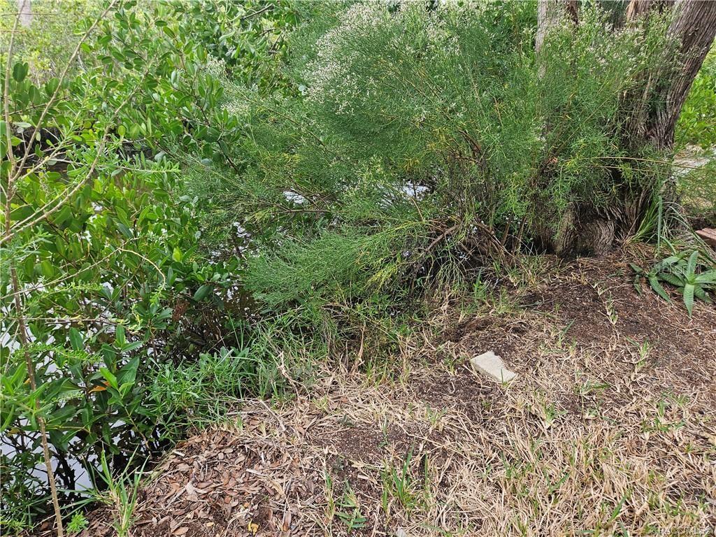 Image 12 of 41 For 1559 Fishcreek Point