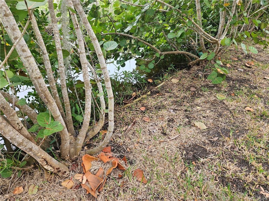 Image 14 of 41 For 1559 Fishcreek Point