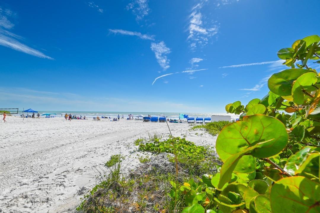 Image 39 of 42 For 18450 Gulf Boulevard 103