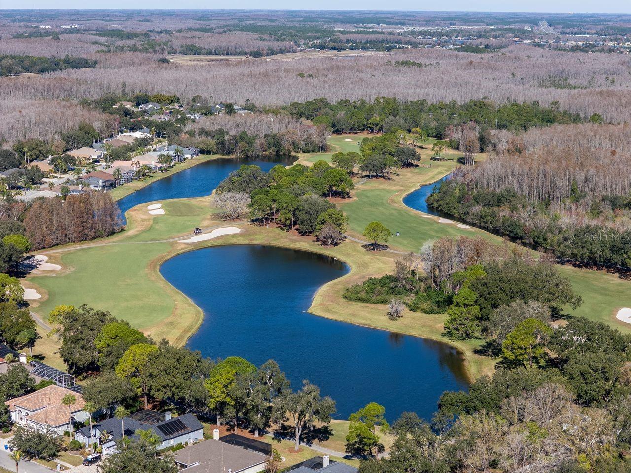 Image 58 of 62 For 18916 Saint Laurent Drive