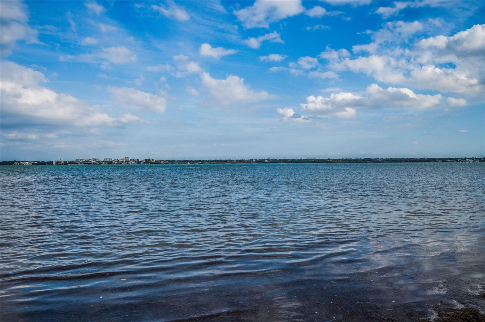 Image 62 of 84 For 1451 Gulf Boulevard 207