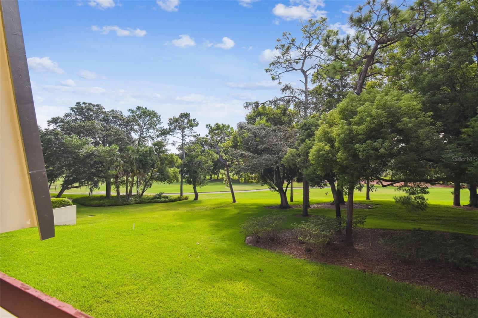 Image 27 of 73 For 36750 Us Highway 19  23213