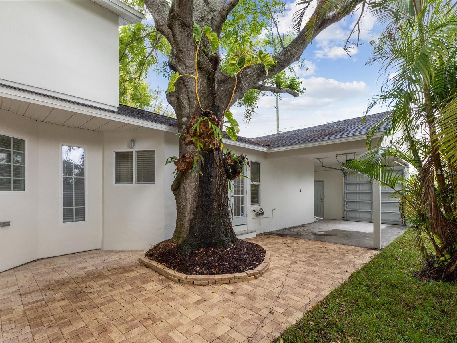 Image 34 of 40 For 445 33rd Avenue N