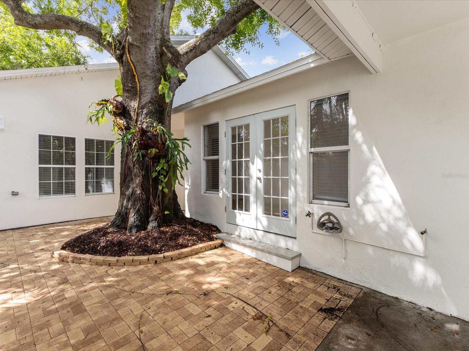 Image 36 of 40 For 445 33rd Avenue N