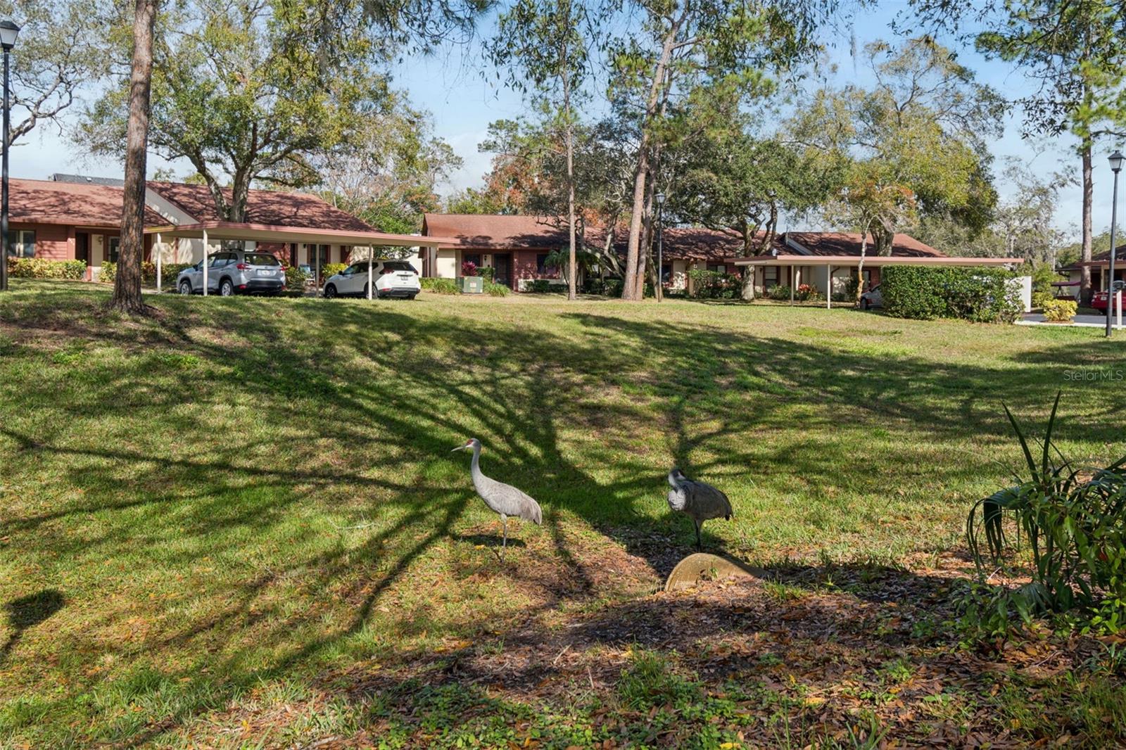 Image 18 of 39 For 7519 Greystone Drive