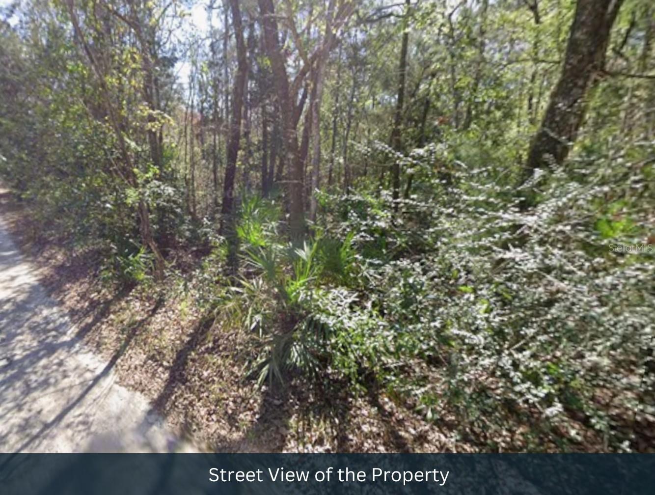 Image 12 of 26 For 0 Pine Street