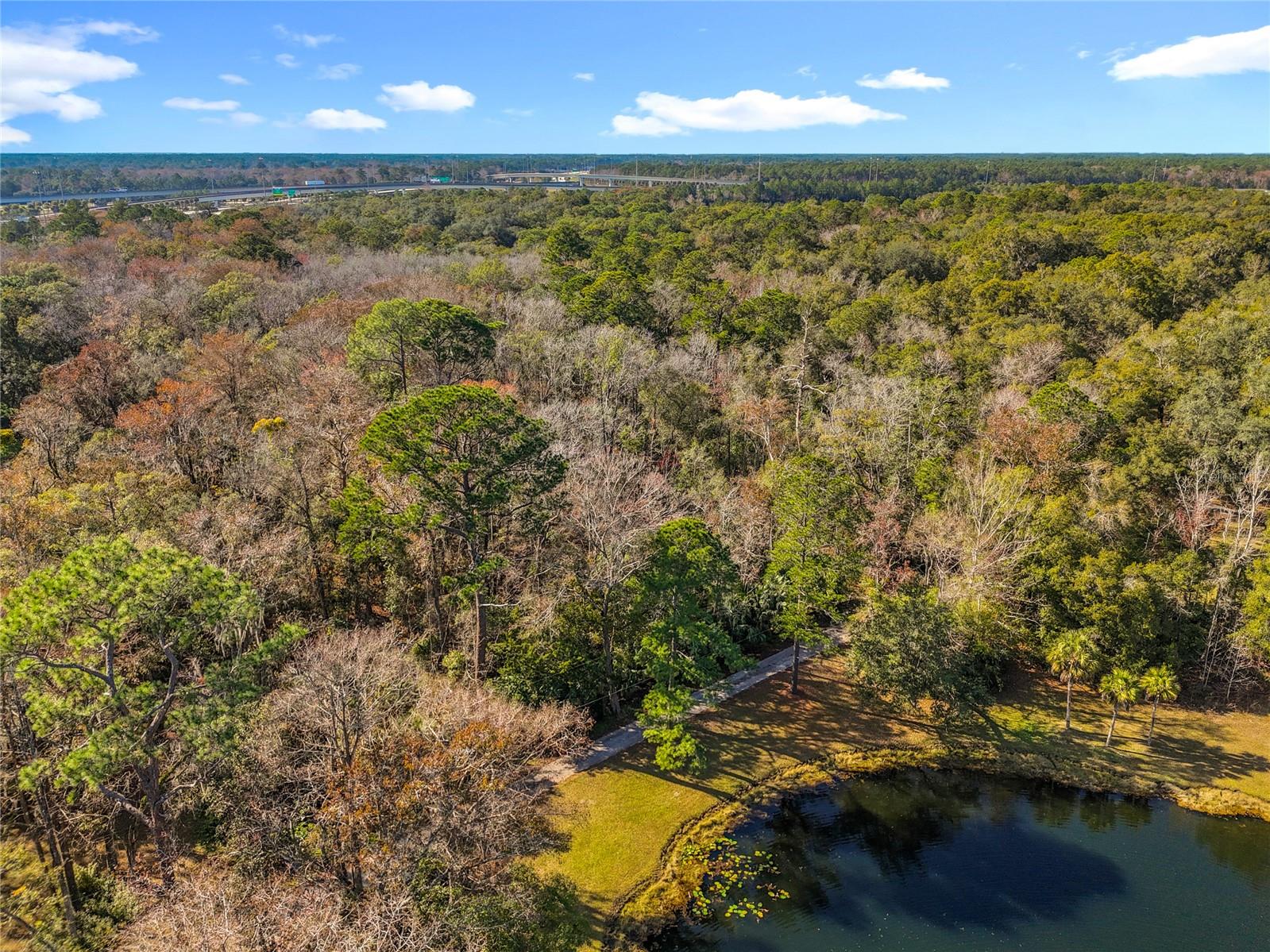 Image 22 of 26 For 0 Pine Street