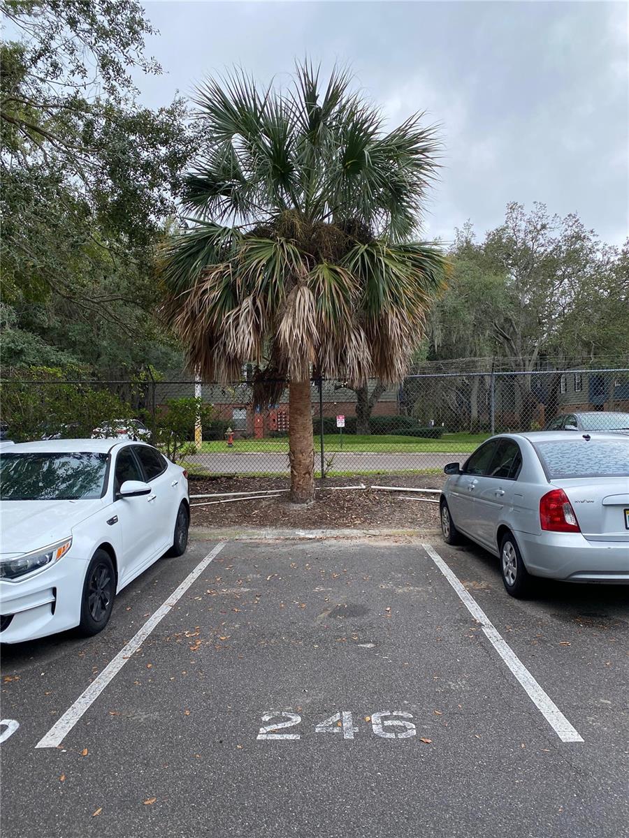 Image 23 of 26 For 14419 Americana Circle 103