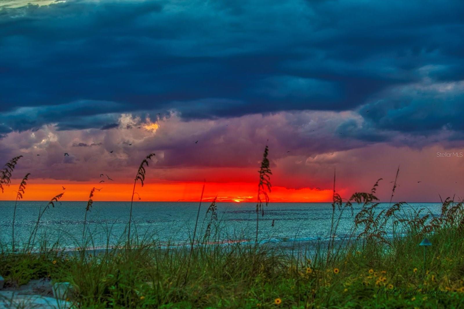 Image 66 of 73 For 15564 Gulf Boulevard