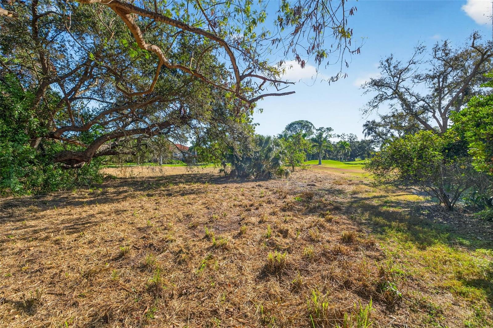 Image 11 of 16 For Royal Palm Drive S