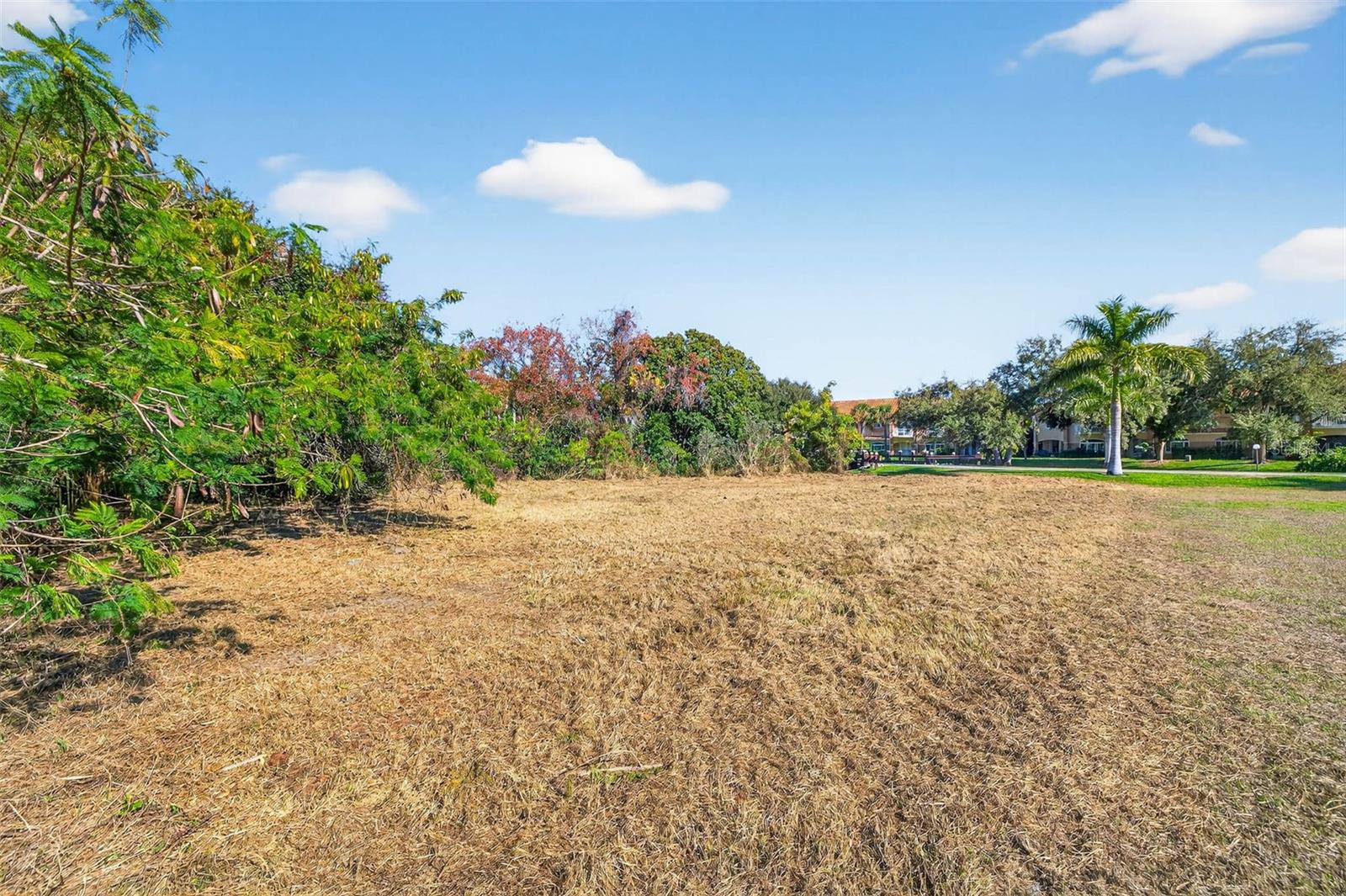 Image 8 of 16 For Royal Palm Drive S