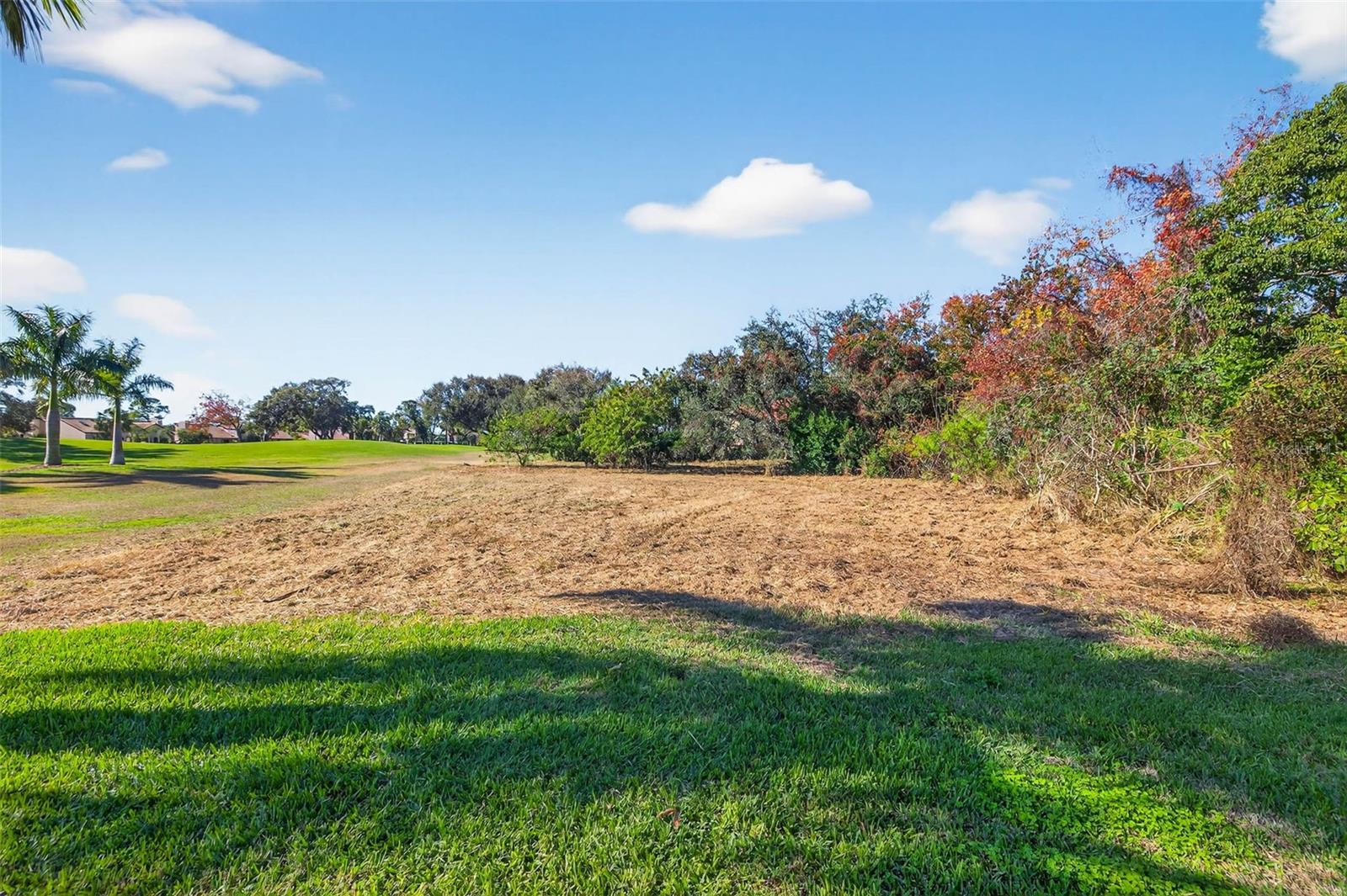 Image 9 of 16 For Royal Palm Drive S