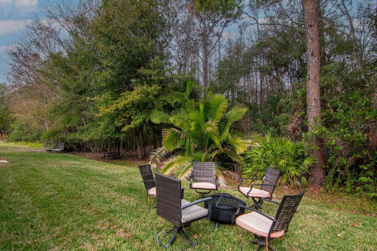 Image 40 of 42 For 26205 Sword Dancer Drive