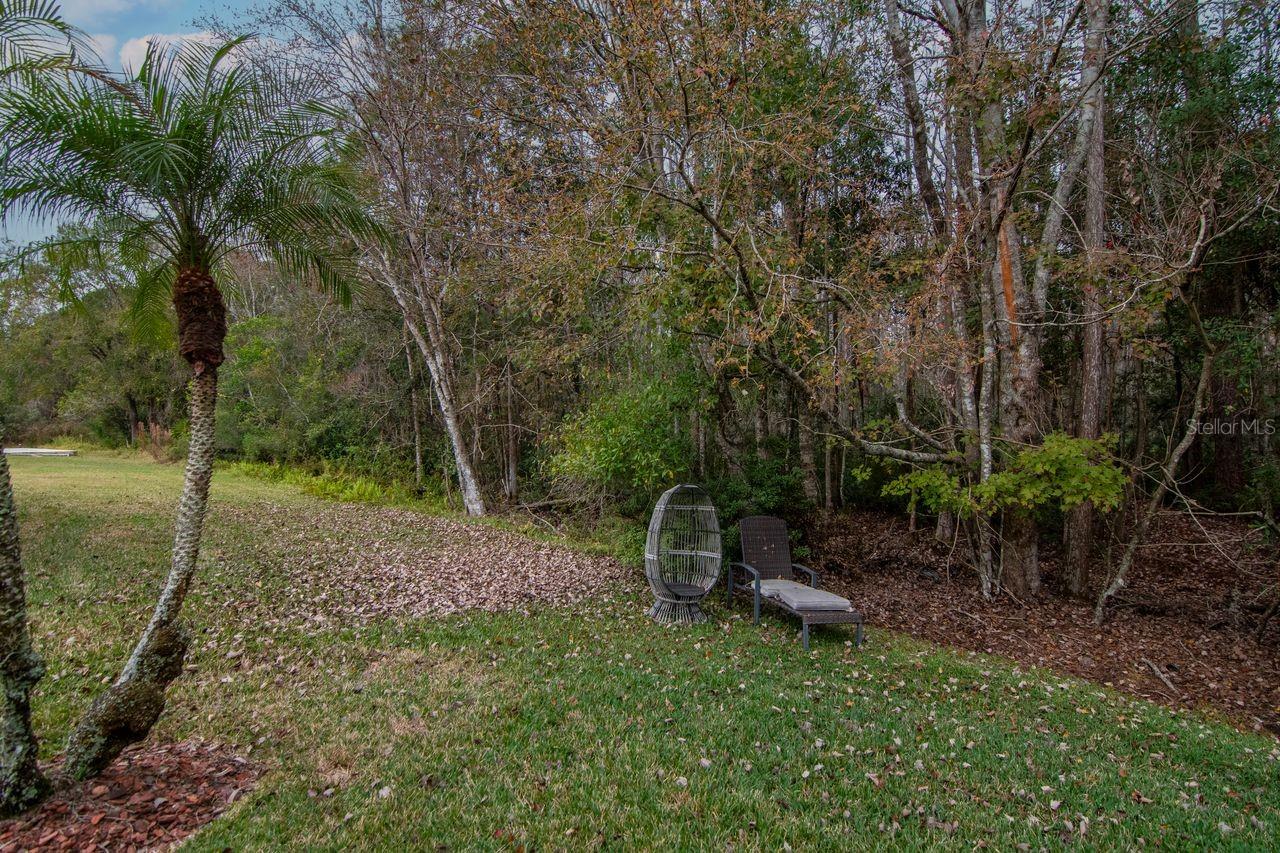 Image 42 of 42 For 26205 Sword Dancer Drive