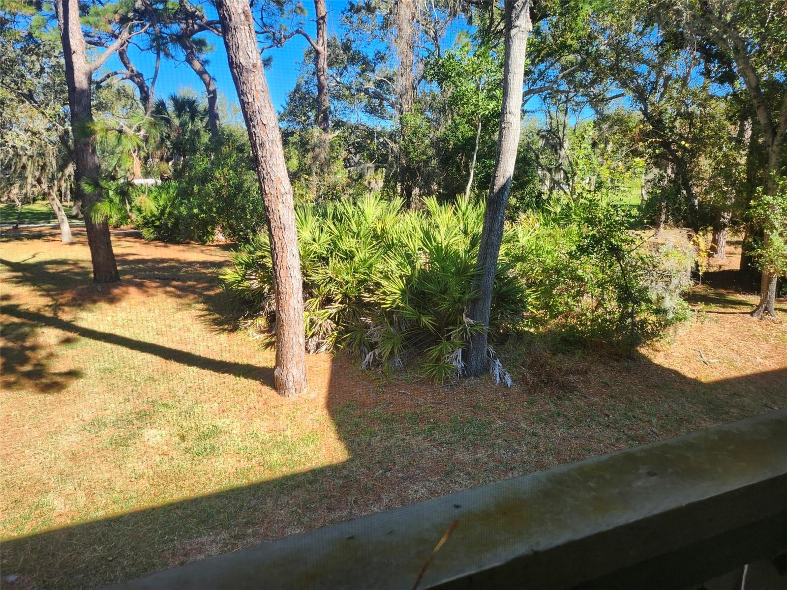 Image 19 of 25 For 380 Bayshore Boulevard 204