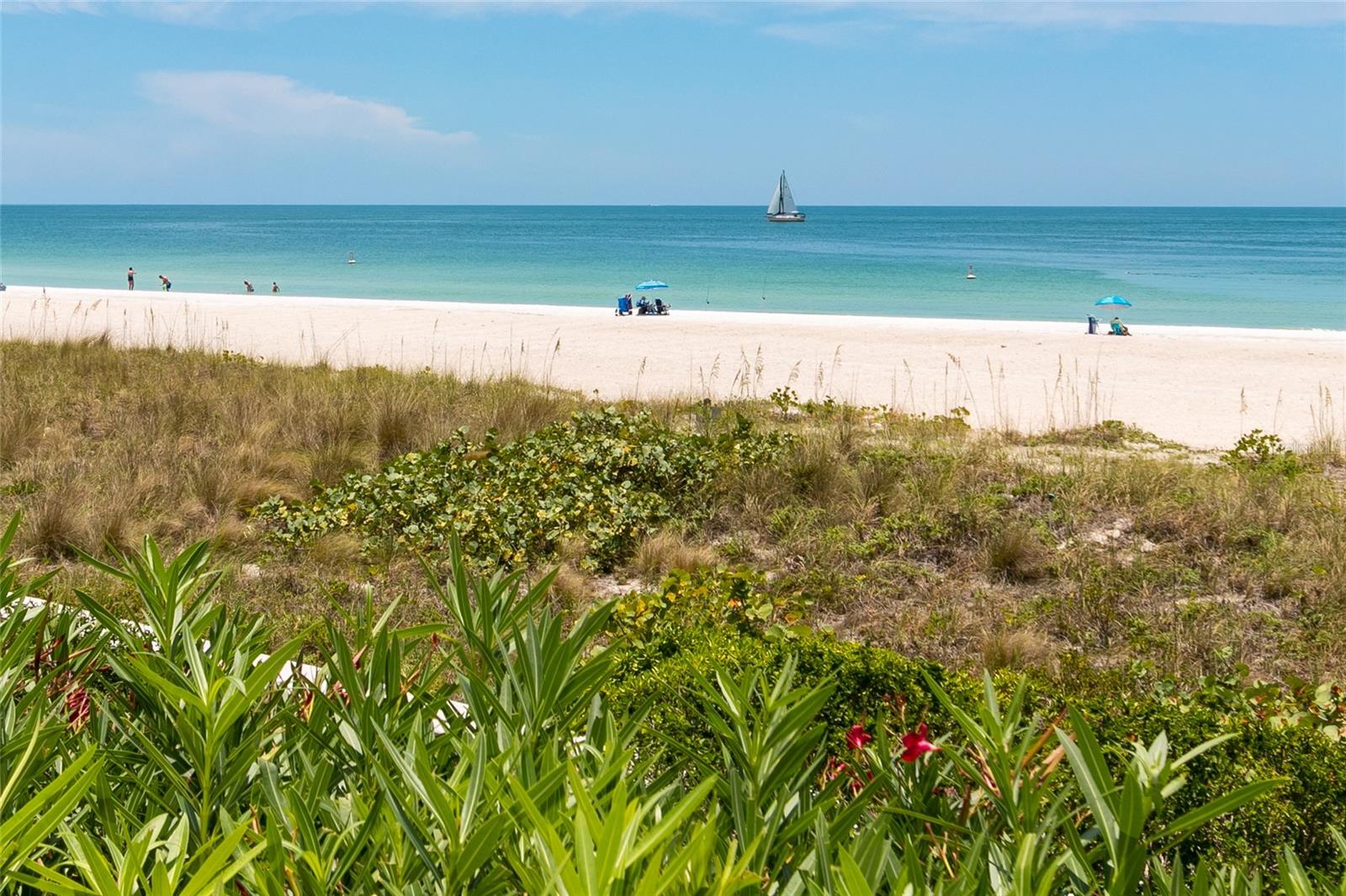 Image 46 of 56 For 1380 Gulf Boulevard 805