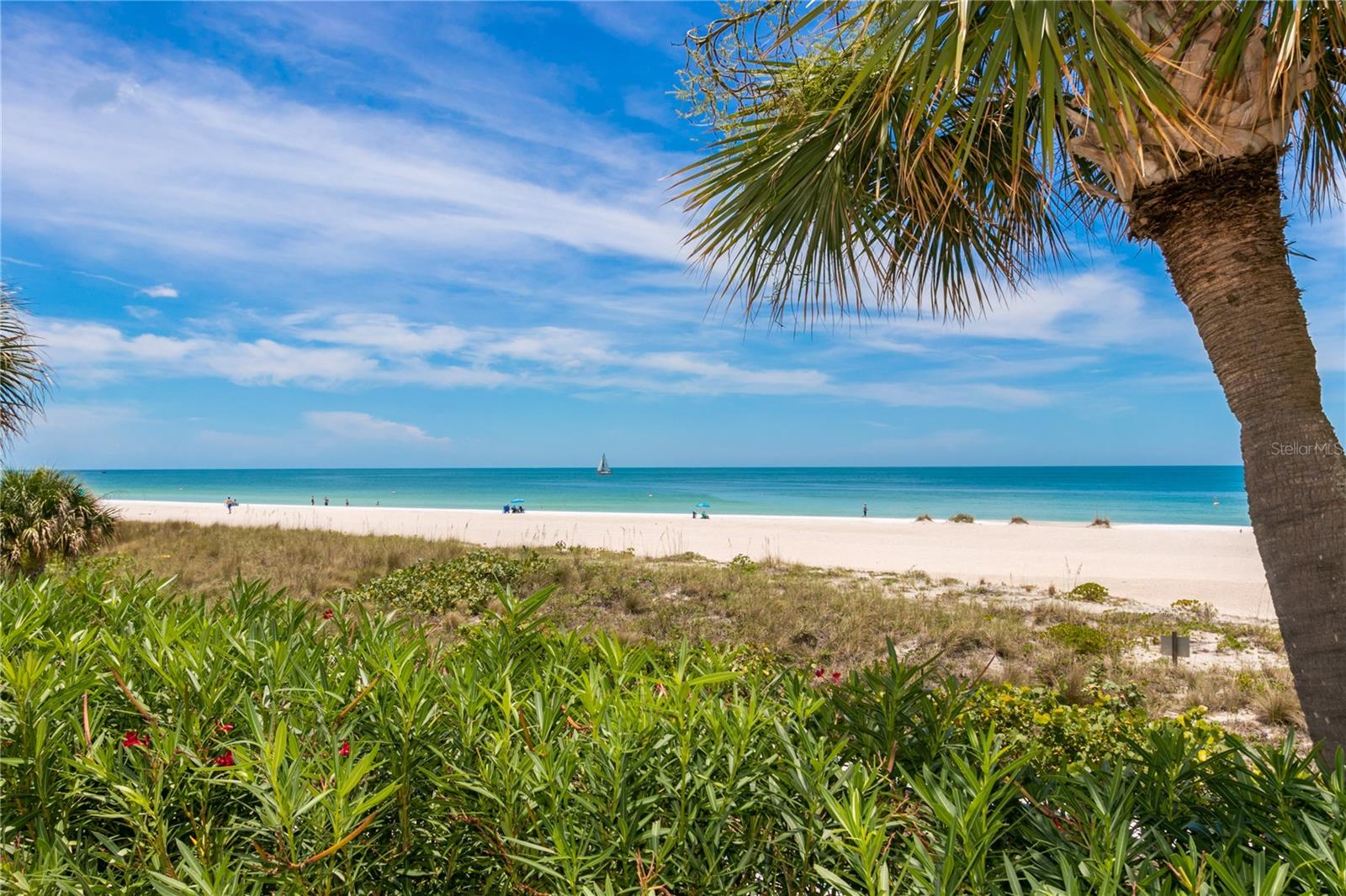 Image 54 of 56 For 1380 Gulf Boulevard 805