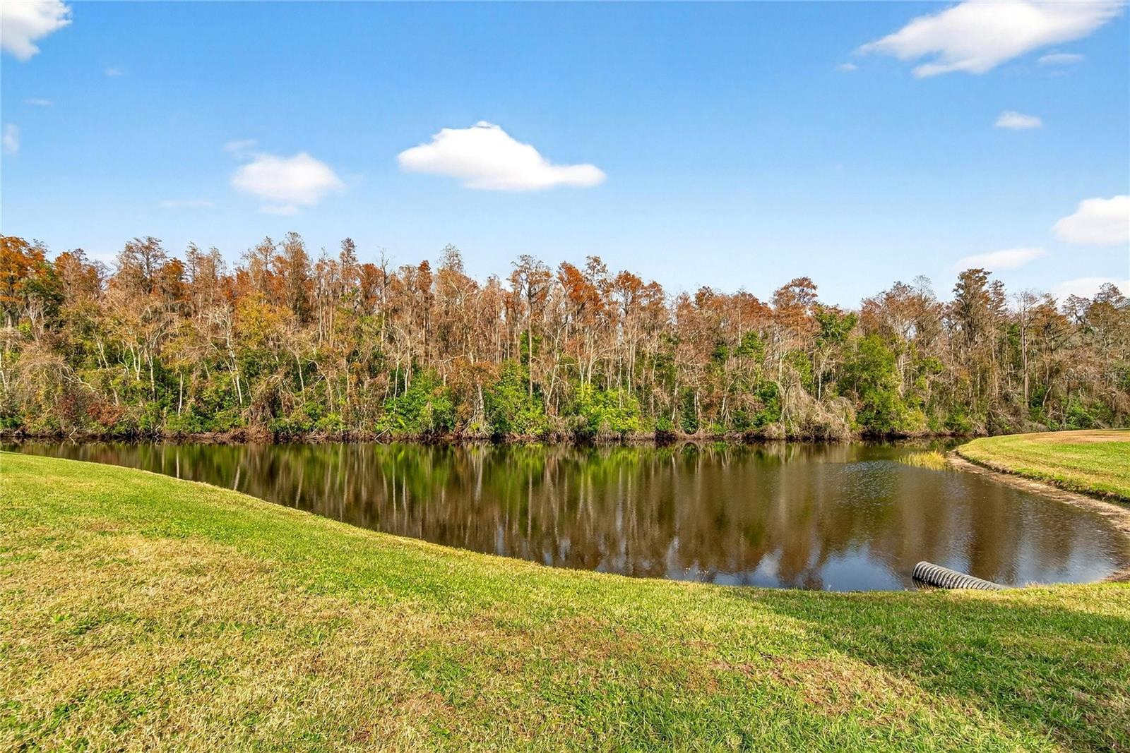 Image 45 of 53 For 2003 Hartlebury Way 432