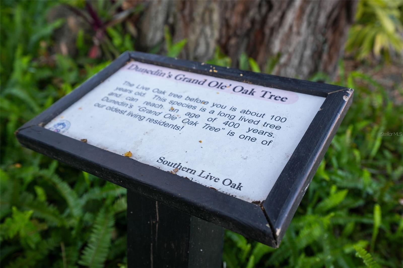 Image 64 of 82 For 2214 Davies Avenue