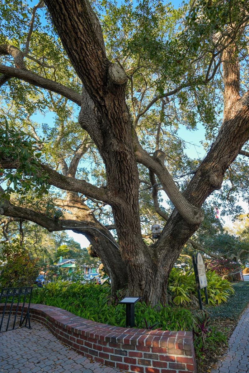 Image 66 of 82 For 2214 Davies Avenue