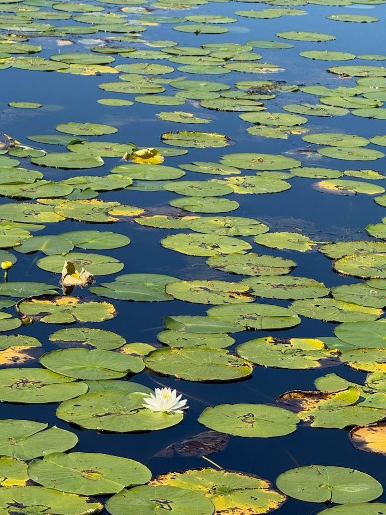 Image 3 of 62 For 2814 Humphrey Street