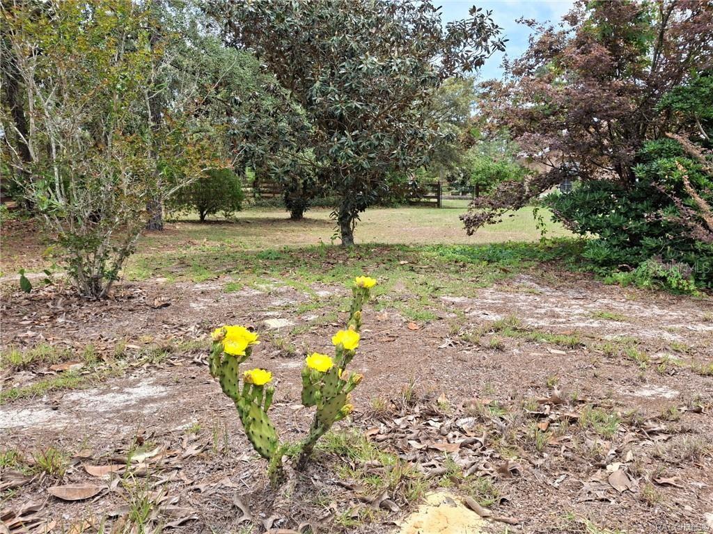 Image 50 of 82 For 4295 Bridger Drive