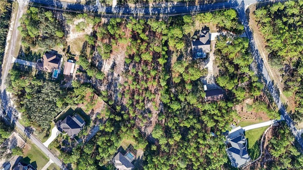 Image 59 of 82 For 4295 Bridger Drive