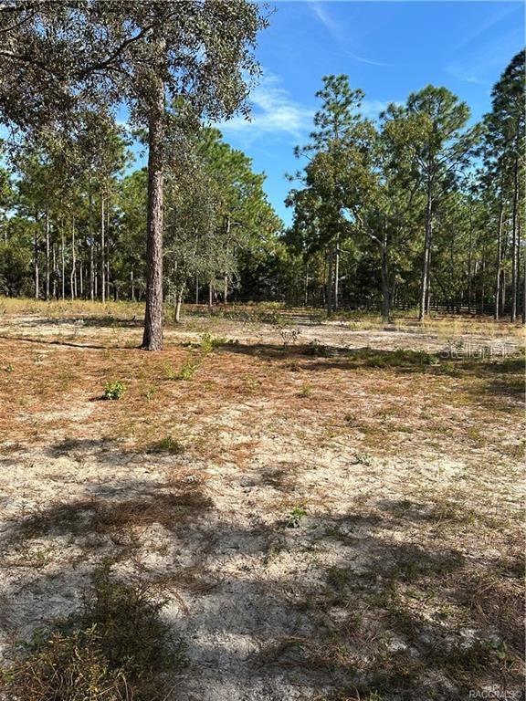 Image 73 of 82 For 4295 Bridger Drive