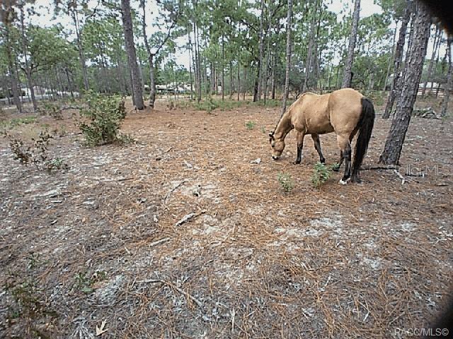 Image 76 of 82 For 4295 Bridger Drive
