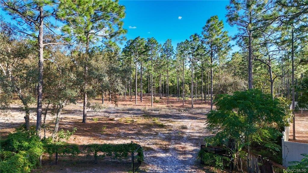 Image 77 of 82 For 4295 Bridger Drive