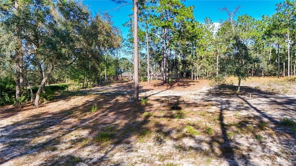 Image 79 of 82 For 4295 Bridger Drive