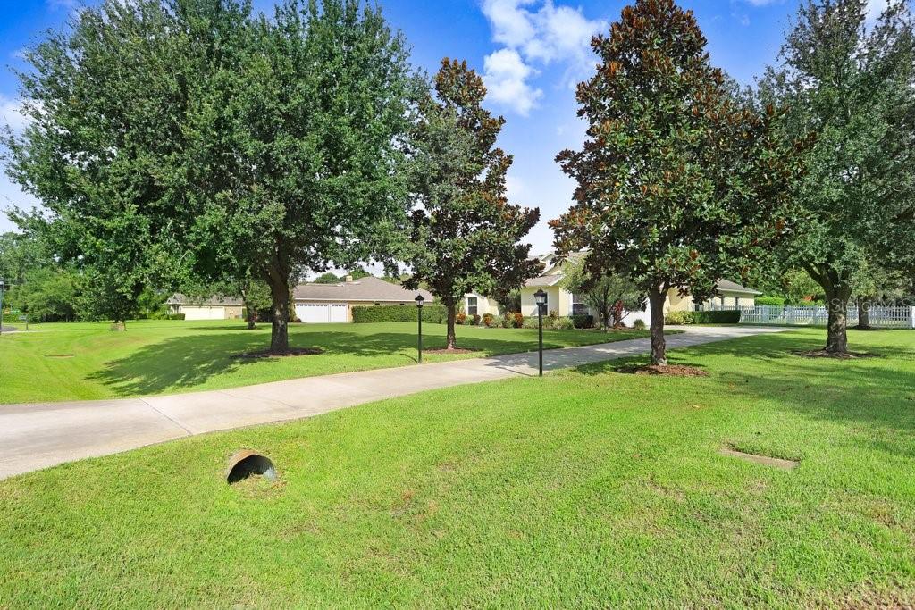 Image 49 of 54 For 7709 Kenia Meadows Lane