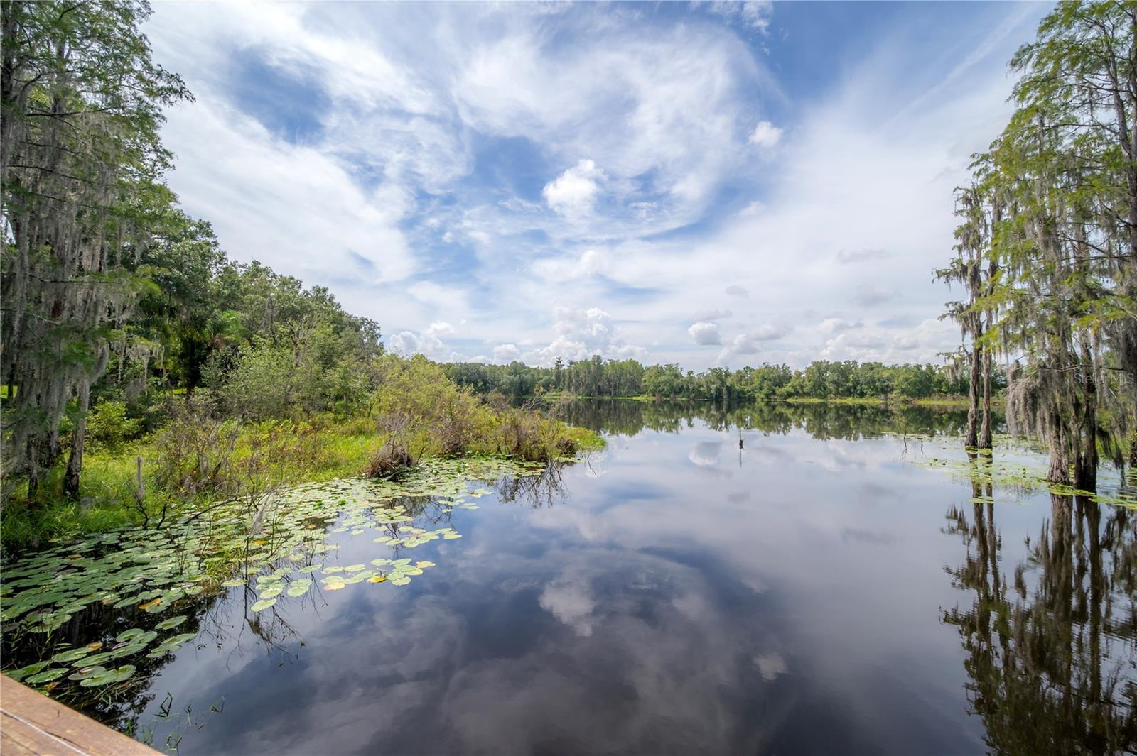 Image 52 of 52 For 6229 Scarlet Darter Way