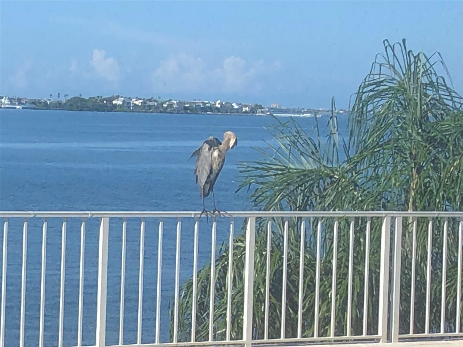 Image 29 of 38 For 100 Pierce Street 305