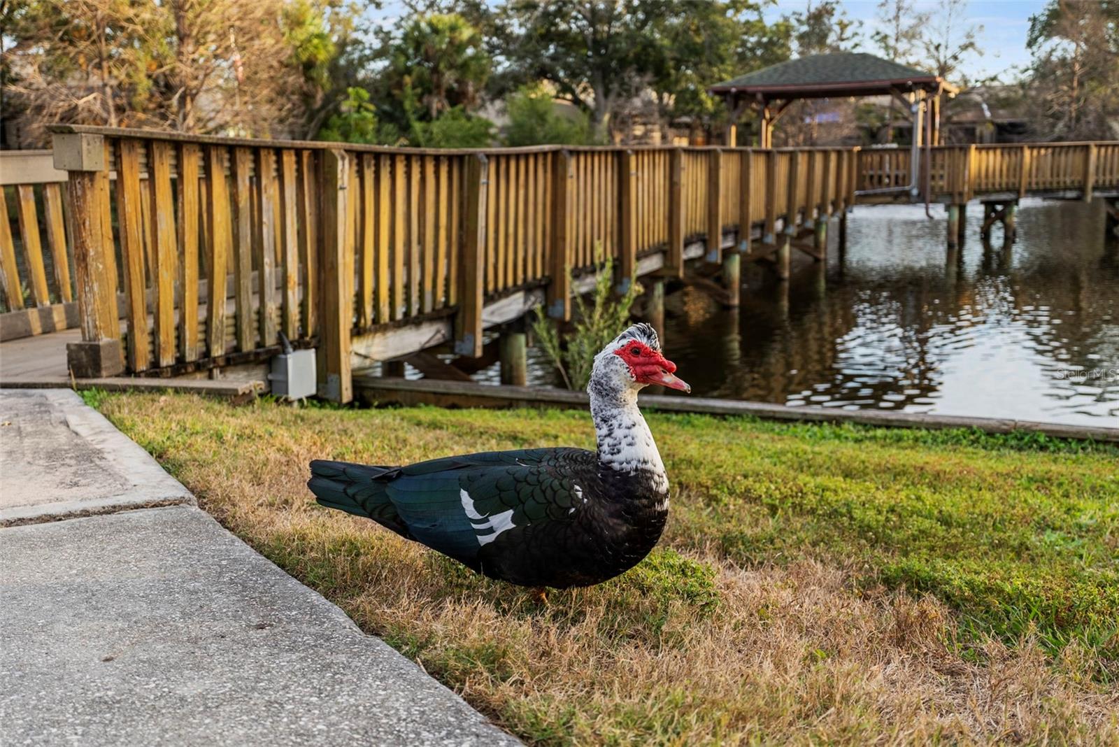 Image 44 of 49 For 6438 93rd Terrace N 603