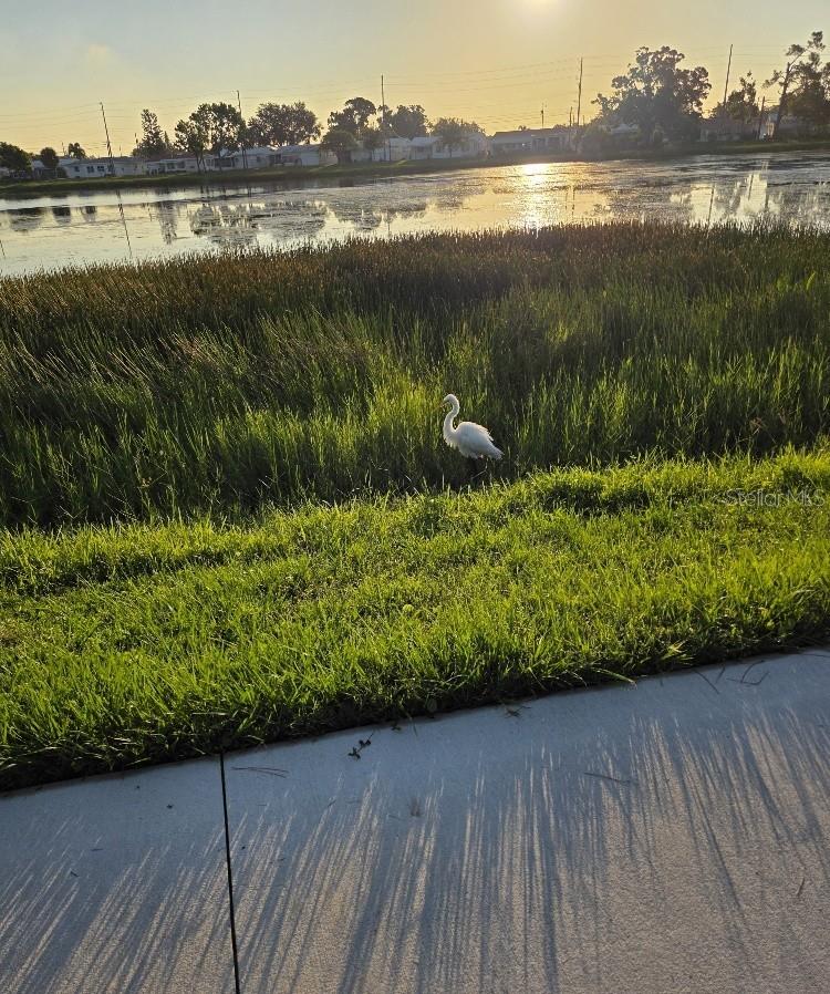 Image 37 of 45 For 4420 94th Avenue N