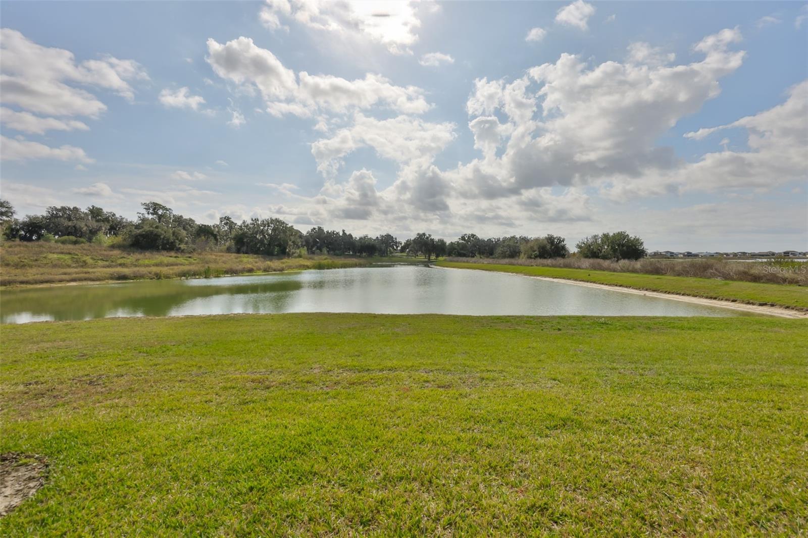 Image 46 of 60 For 9497 Ibis Grove Boulevard