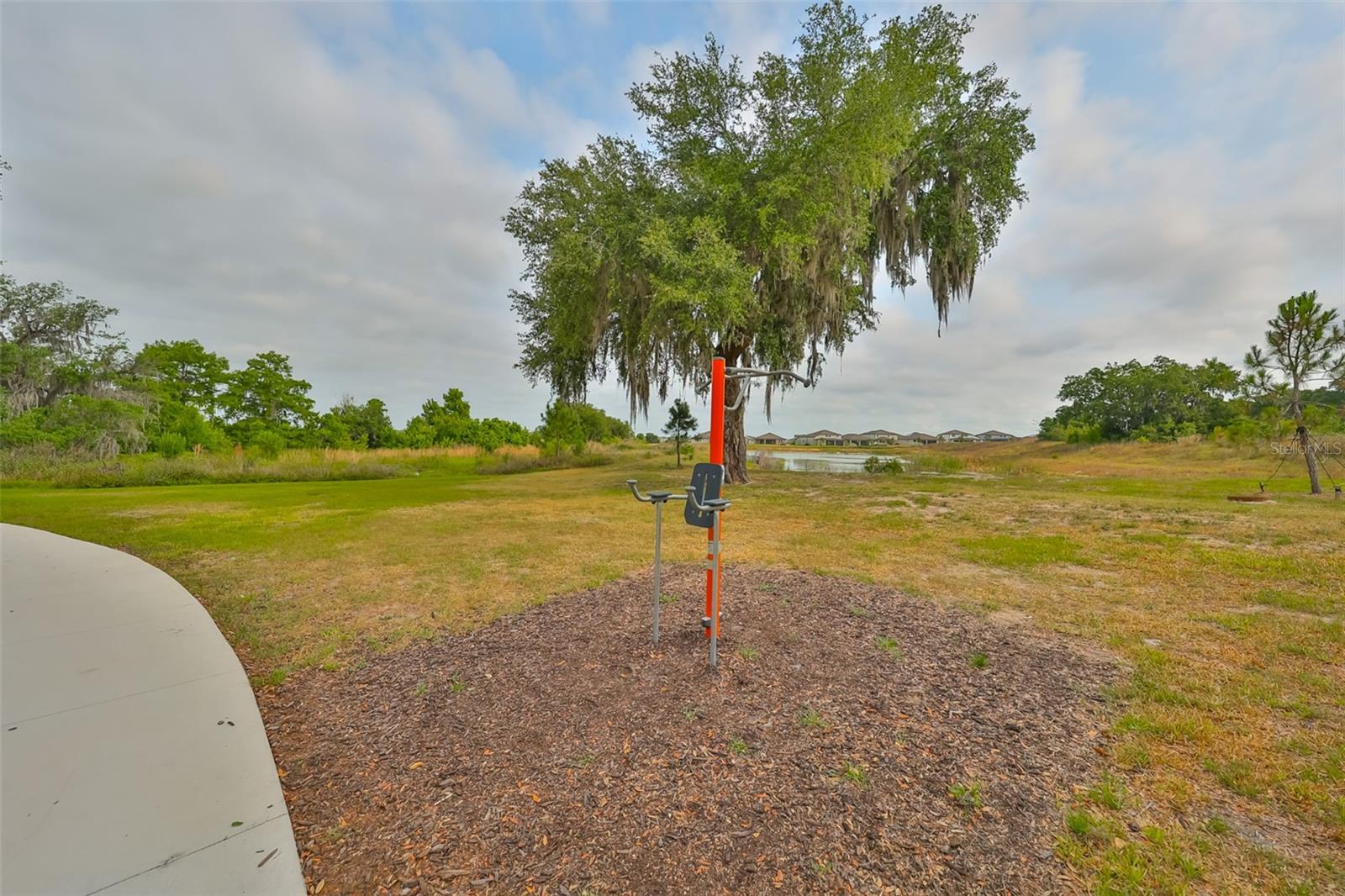 Image 59 of 60 For 9497 Ibis Grove Boulevard