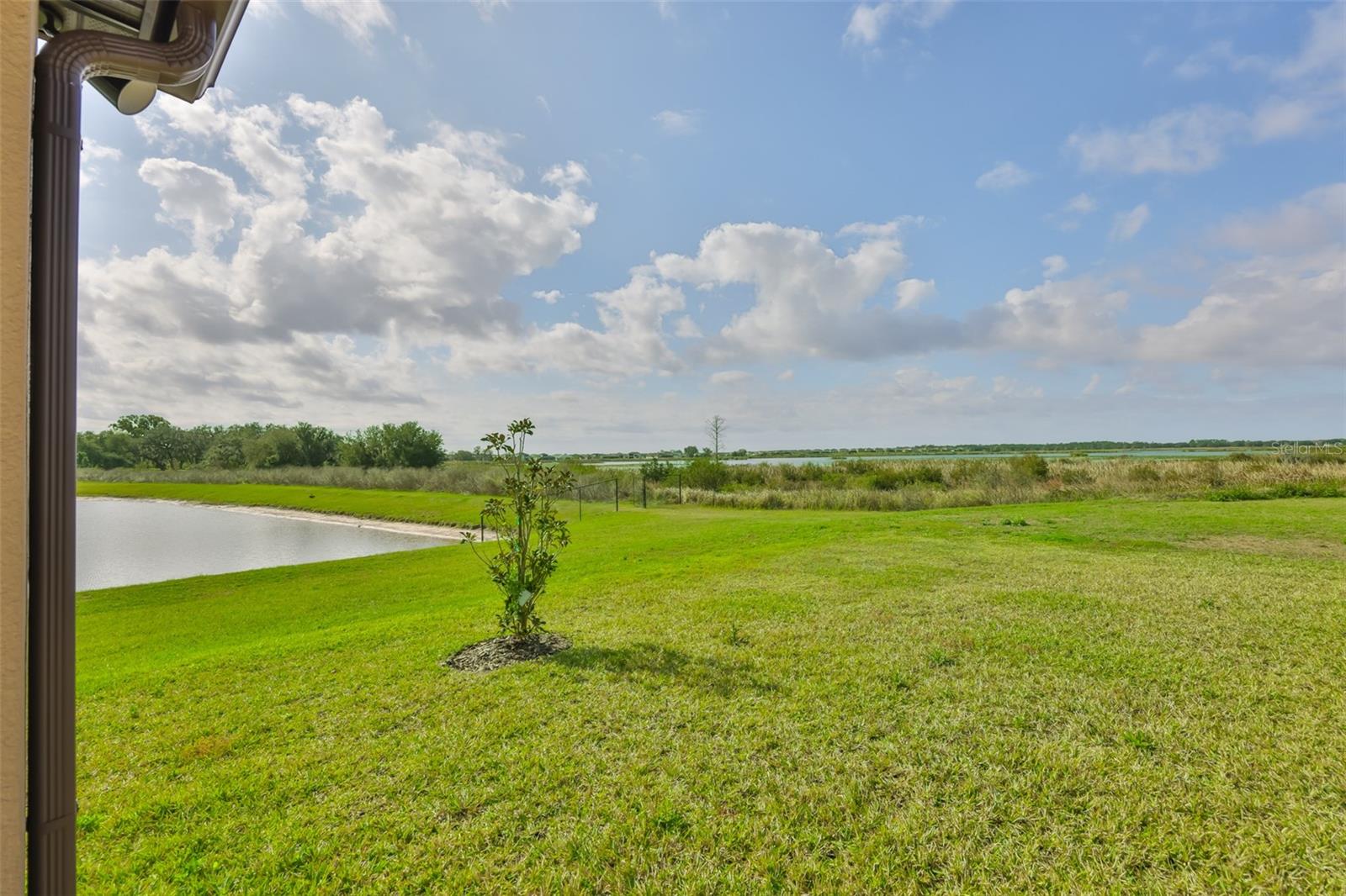 Image 6 of 60 For 9497 Ibis Grove Boulevard