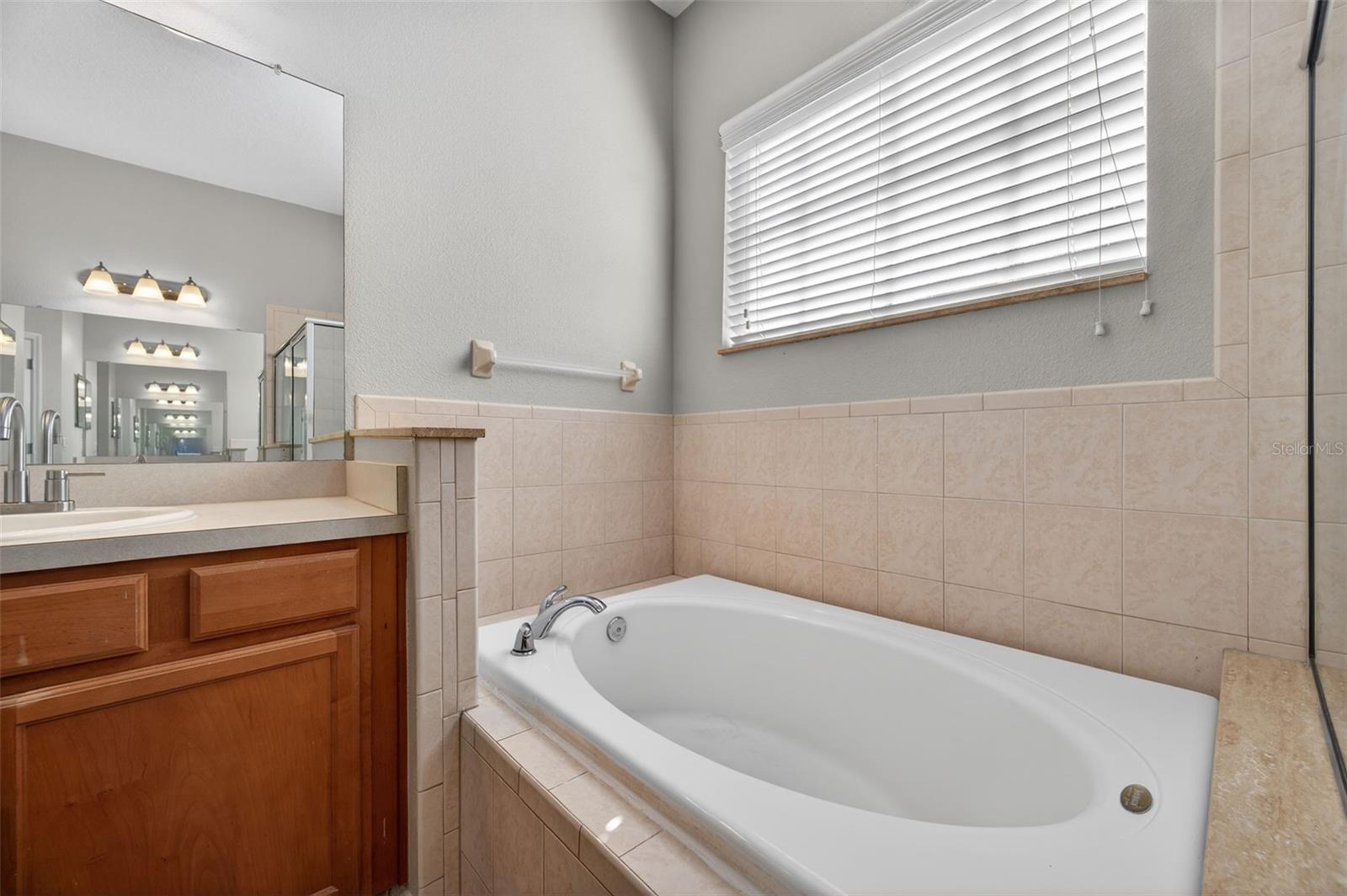 Image 22 of 45 For 2541 Centennial Falcon Drive