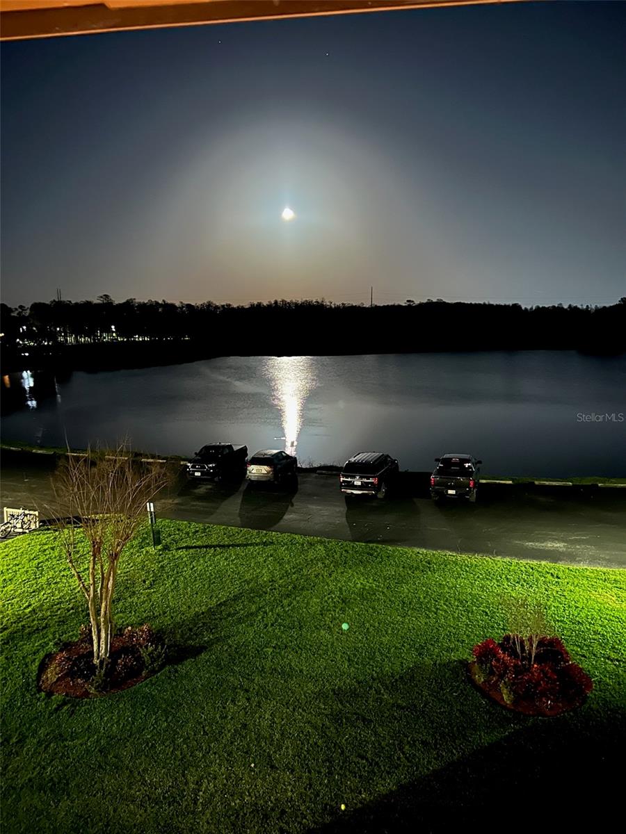 Image 19 of 20 For 36750 Us Highway 19 N 4-302