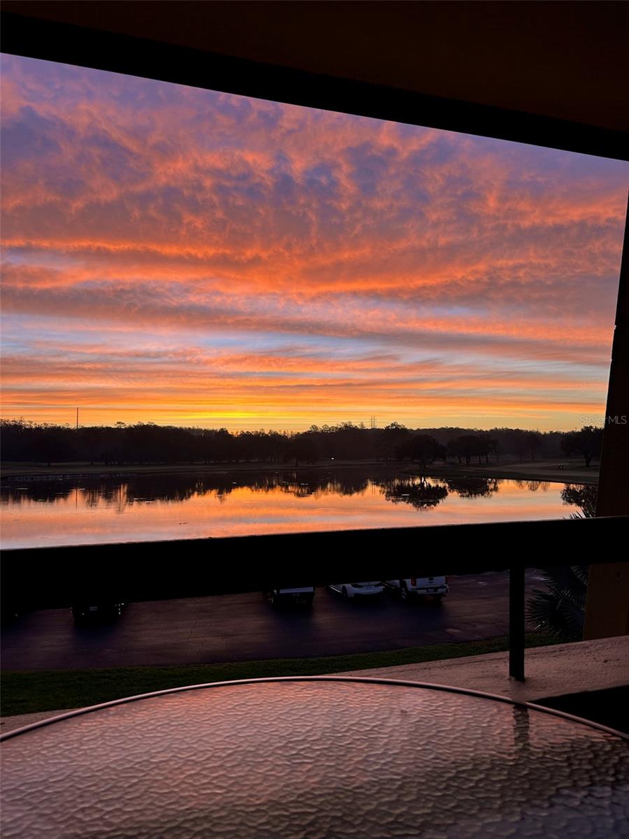 Image 20 of 20 For 36750 Us Highway 19 N 4-302