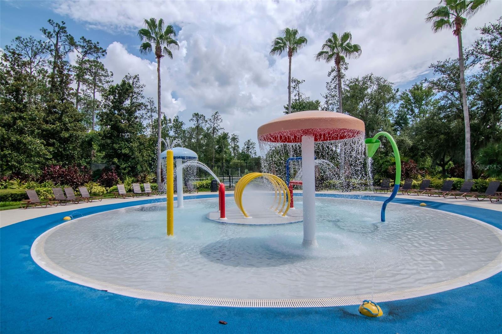 Image 46 of 47 For 4522 Scarlet Loop