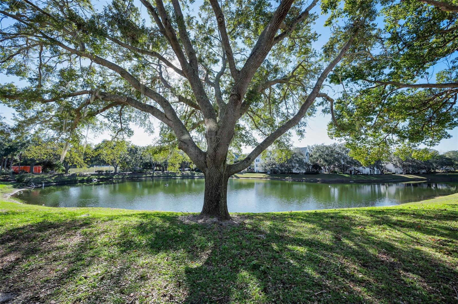 Image 38 of 88 For 3304 Haviland Court 103