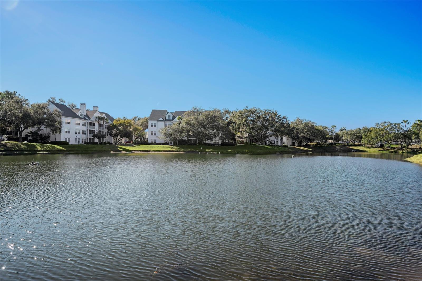 Image 41 of 88 For 3304 Haviland Court 103