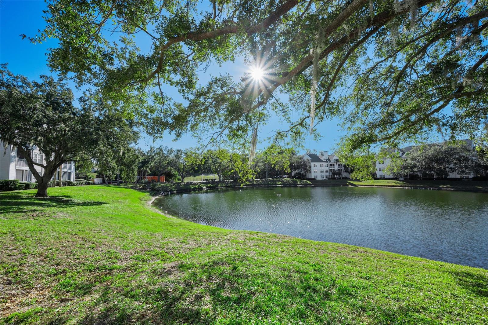 Image 42 of 88 For 3304 Haviland Court 103