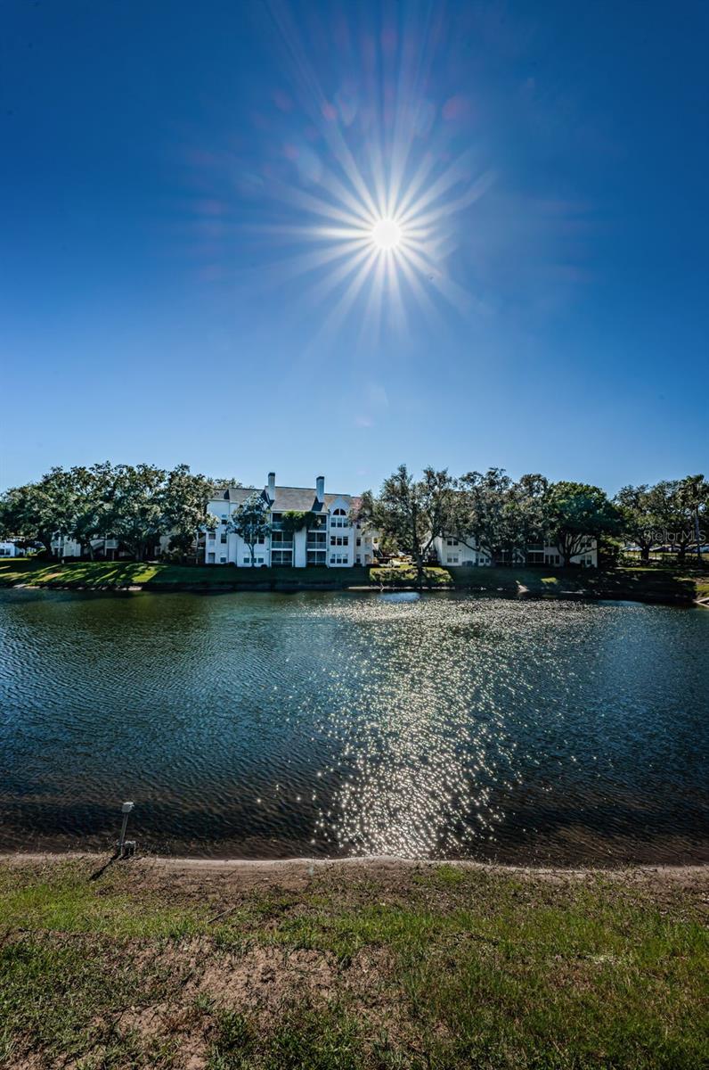 Image 58 of 88 For 3304 Haviland Court 103