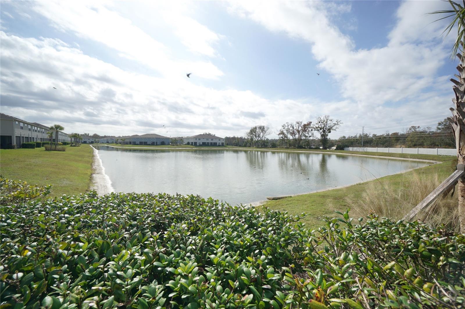 Image 12 of 26 For 25967 Woven Wicker Bend