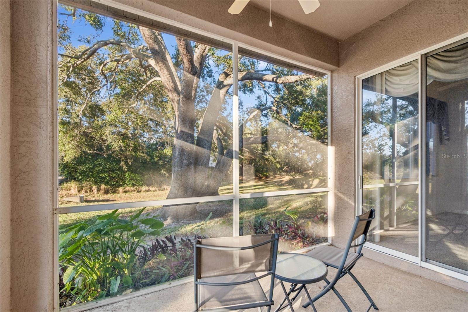 Image 7 of 46 For 1604 Fieldfare Court